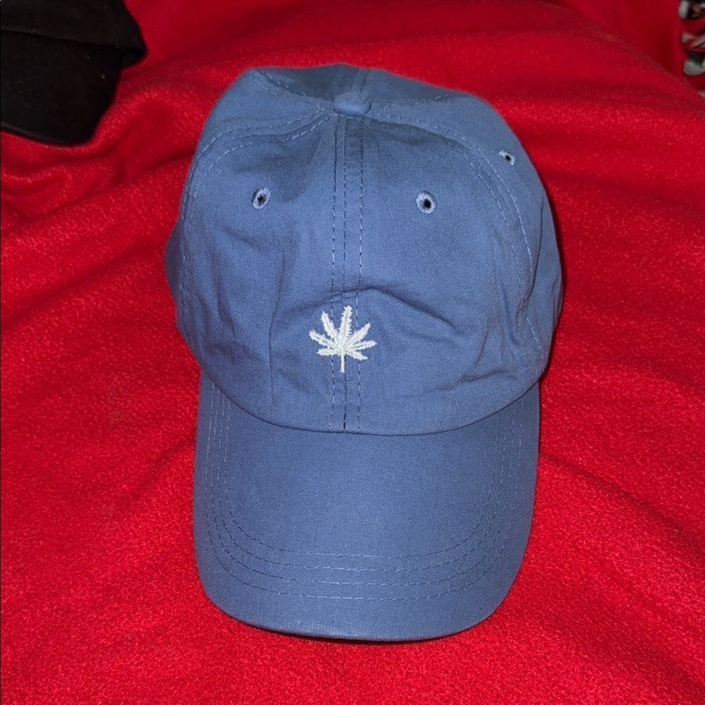 Blue Embroidered Cap